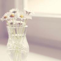 韩国人第一次看张艺兴《Sheep》MV竟是这样