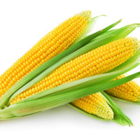 载江夺阿斗的个人频道