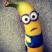 东北二人转:搞笑歌曲杜十娘