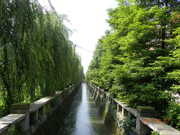 成都东星航空旅游专修学院