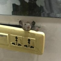 男同学每日练手指功弹吉他 #搞笑视频##女神#