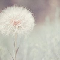 最实用的钟摆式过人教学