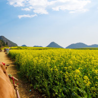 落花时节又逢君君的个人频道 - 专辑列表