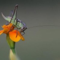 时代峻峰的个人频道