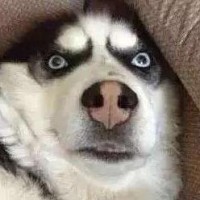 小解说小尤的个人频道