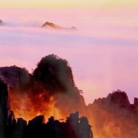 蛙泳教学视频:自由泳蝶泳技巧展示,游泳教学视频