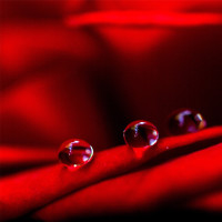 贾玲沈腾比赛憋笑,没想到沈腾最后是这样输的