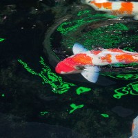 奔跑吧兄弟搞笑片段:下手真的狠!王祖蓝被打蒙