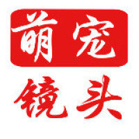 王牌对王牌 坡姐谢娜爆猛料 男神团下跪膜拜