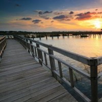 喜羊羊与灰太狼:懒羊羊竟然在上课的时候偷吃