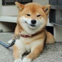 热血狂篮 花絮队员篮球训练特辑