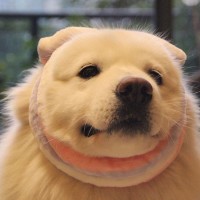 因为遇见你:张果果怀孕,李云凯开心的像个孩子