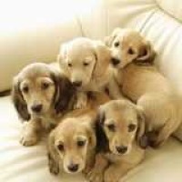 宝宝巴士太空沙玩具小猪佩奇第四季小猪佩奇玩