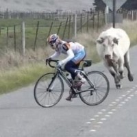 《谈判官》电视剧 杨幂黄子高甜吻戏 霸气壁咚