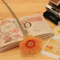 成龙大哥Steve Harvey讲述《尖峰时刻》小黑哥