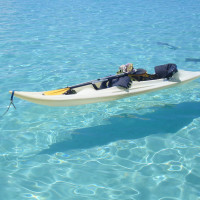 仪程潇在国外跳中国舞凉凉,被专业舞蹈老师赞