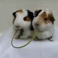 小乾说事的个人频道