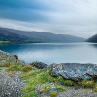 光头强搞笑视频,看得出来,强哥也是有故事的男