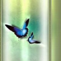 超孤帆去悠悠的个人频道