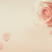 严斌跑个排位跟外挂似的,路人一脸迷茫,风一样