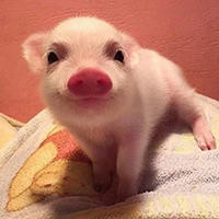 讲解一部犯罪电影,人们犯下违背道德的事,不择