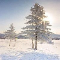 蜗居:海藻给海萍讲鱼眼睛故事,没想到最后自己