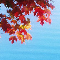 吃鸡头盔坏了怎么办?看心机主播如何骗取单纯