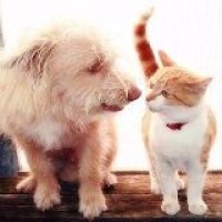 野外路亚钓鱼技巧大全教学视频高清小编