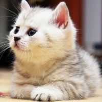 小亮说电影的个人频道