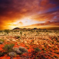 吴奇隆和刘诗诗合唱版《等你的季节》