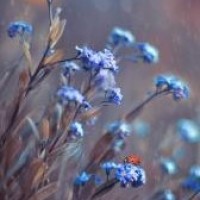 惊了2018时装周玩脱了惊现一言不合提头来见