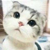 俄罗斯女孩 爱看中国电视剧 组建中文翻译字幕