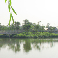 结局果然亮了:一定是清金钩钓--牌不会是假象《