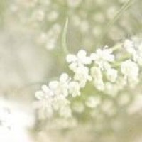 刷牙歌 宝宝巴士儿歌