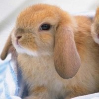 中国第一艘国产航空母舰来了,叫山东号