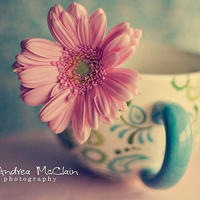 打麻将洗牌也有妙招,赌王说:洗牌决定你的输赢