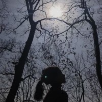 荒野求生:那么多人喜欢德哥的荒野求生,看完他