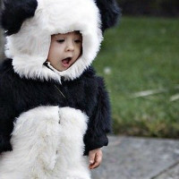 美国第一土豪烧烤,100斤整猪塞满松露狂烧12