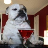 打游戏匹配到这种二货,居然还开变声器,太搞笑