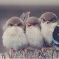 偶像练习生 乐华练习生纯享 EOEO