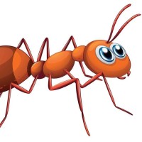 王牌对王牌 陈赫、郑凯 比划, 李晨猜!陈赫:算了