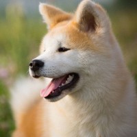 韩国恐怖电影:美女梦到自己躺在水床上,遇到鬼