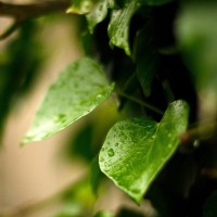 小陆瑶瑶的个人频道