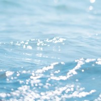 搞笑集锦:小老弟整蛊大哥,剧情反转太快,网友:内