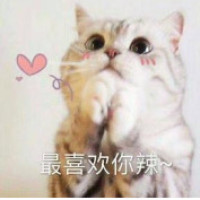 爱的太晚走的太快