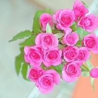 杨幂教手指舞,张杰俞灏明十年再聚同飙歌