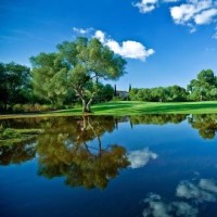 血流麻将:清金钩钓,我要衷心感谢下家的一发二