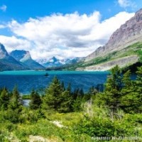 张柏芝终于说出了孩子的生父,果然不出所料,D