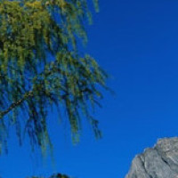 郭德纲台上模仿天津地痞,说话鼻子发音,牙都嘚