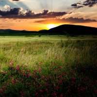 马云致辞谈教育 演讲子孙后代教育如何从育下